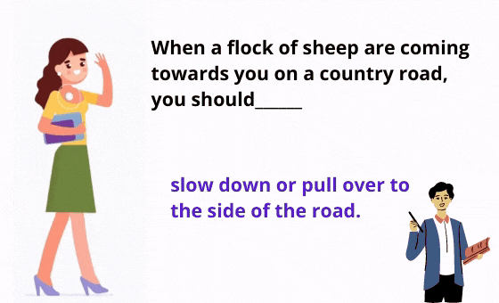 20 Copy of flash cards sri (38)